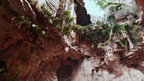 Große-Märchenhafte-Felshöhle-Mit-Grünen-Pflanzen